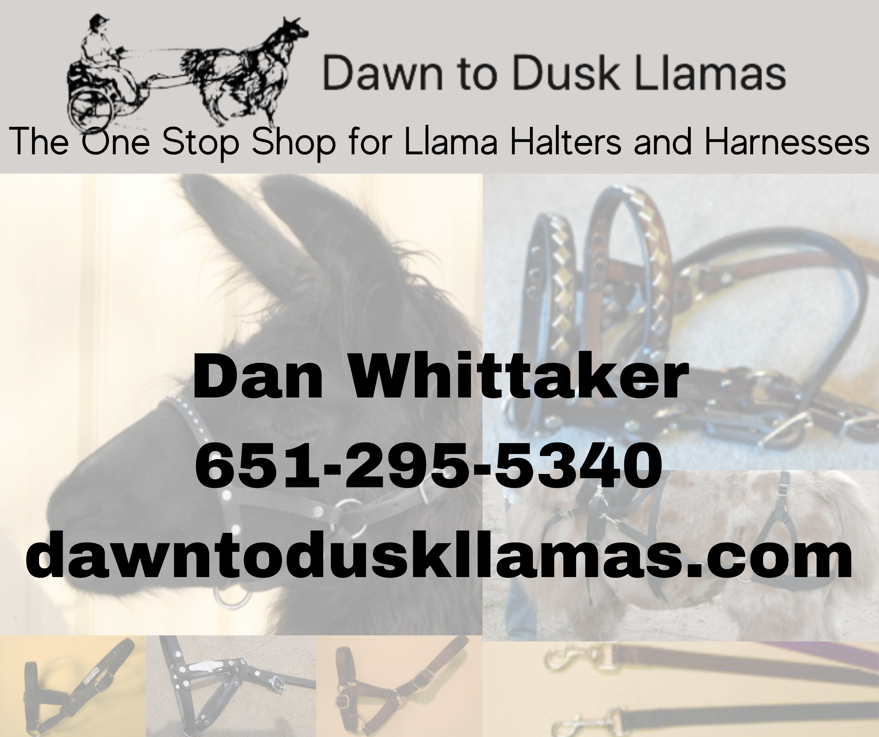 Business card for Dawn to Dusk Llamas with llama image and contact info.