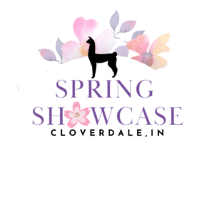 Simple Modern Minimalist Circle Design Studio Logo (1)